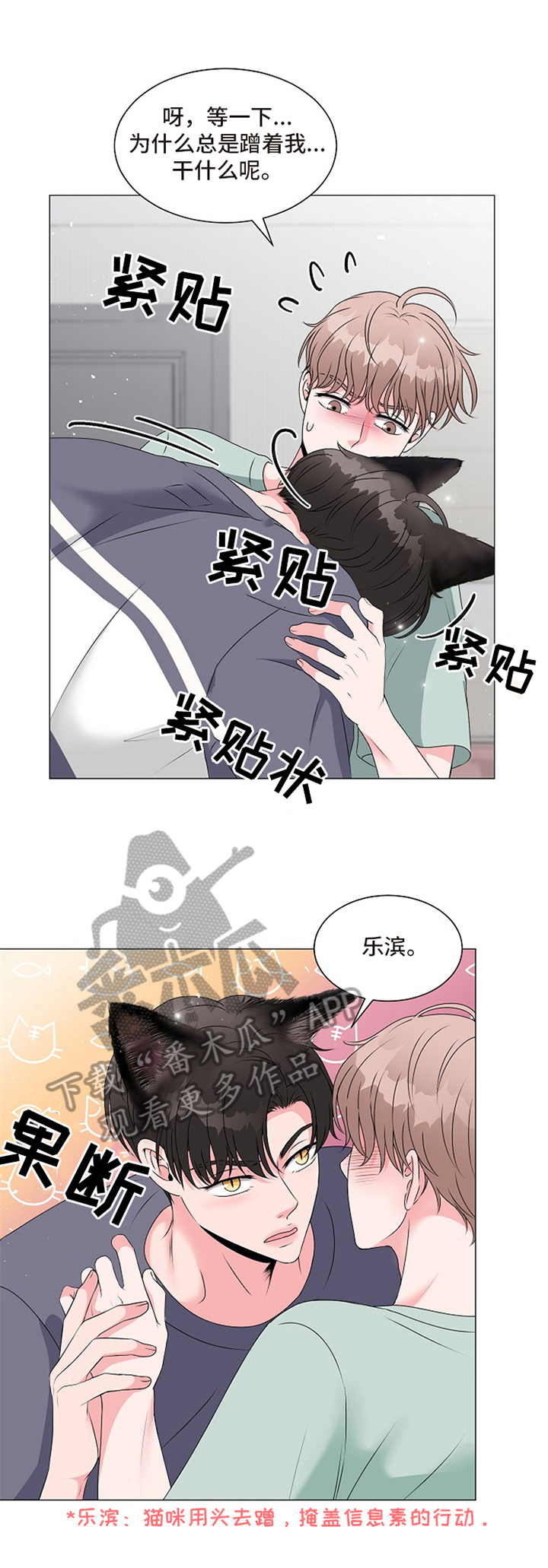《猫猫初体验》第5章不能继续 第2页