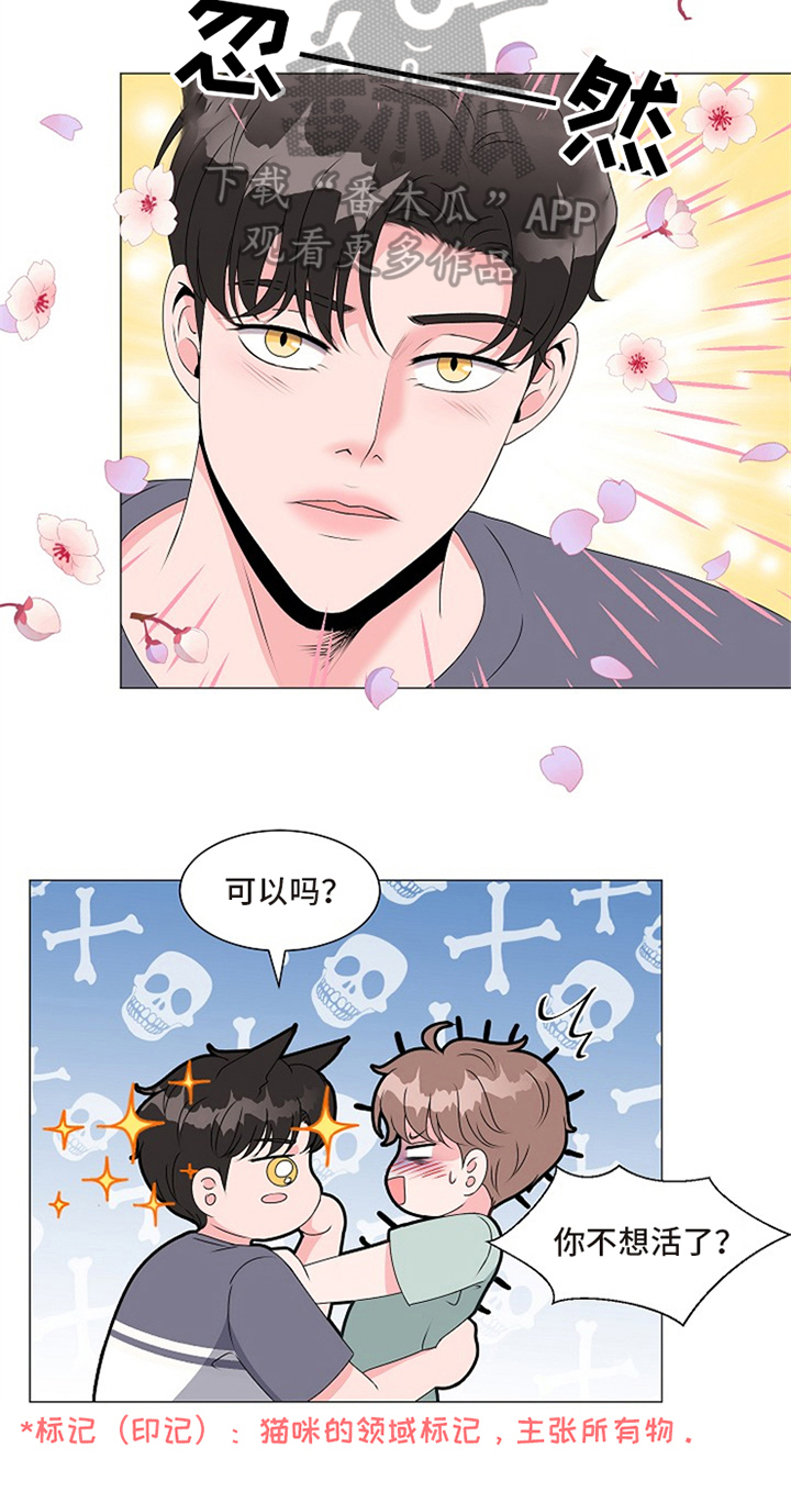 《猫猫初体验》第5章不能继续 第4页