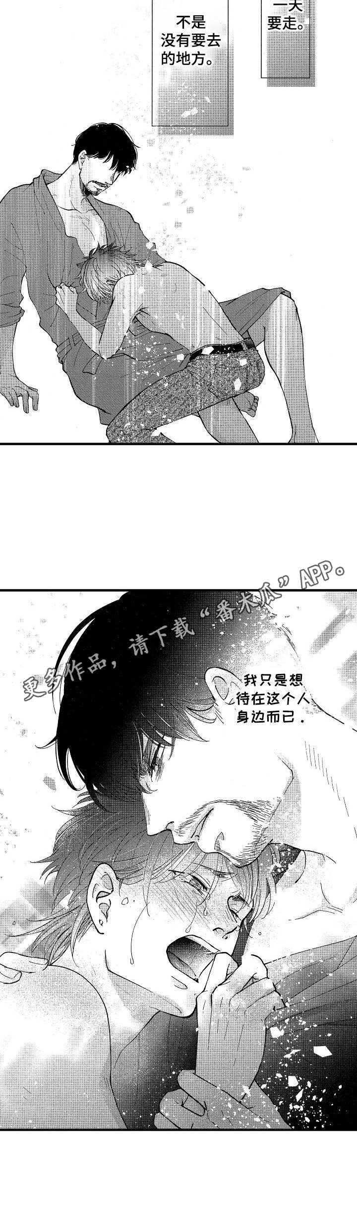 《你好娃娃脸》第16章到此为止 第11页