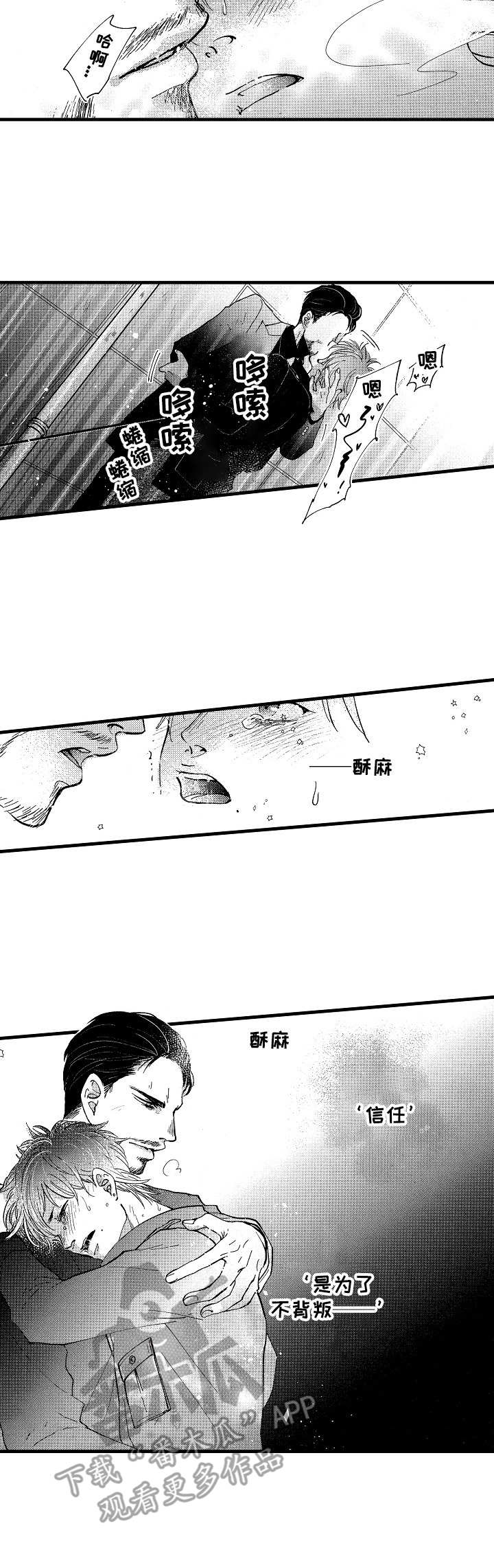 《你好娃娃脸》第9章信任 第12页