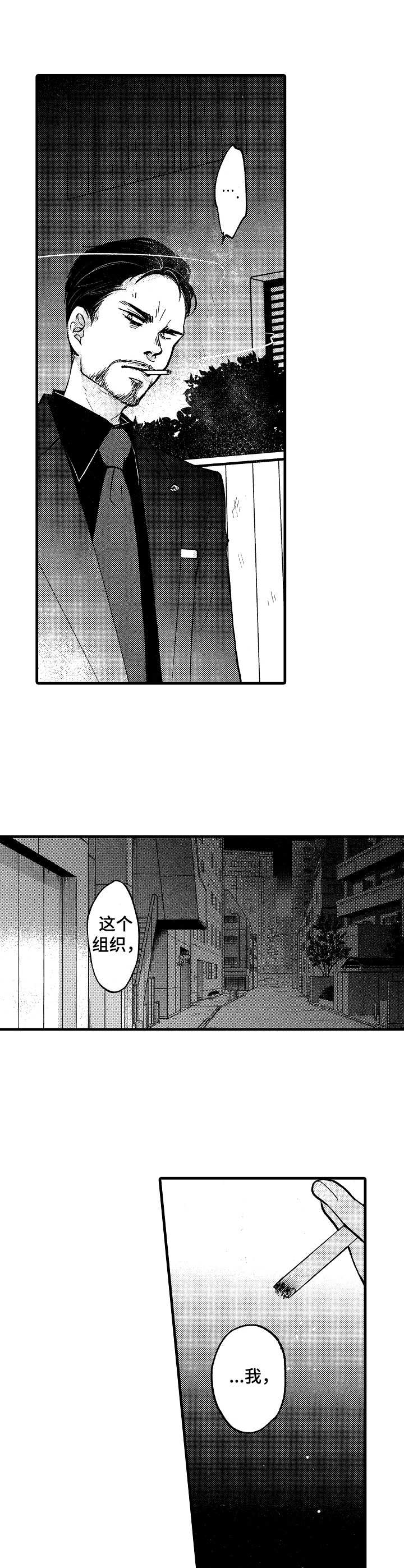 《你好娃娃脸》第9章信任 第5页