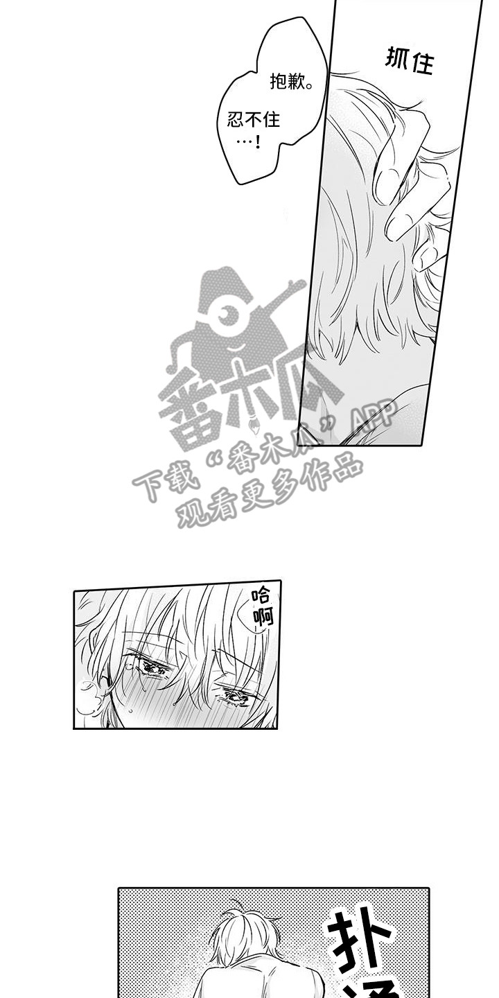 《帅哥守则》第12章解释 第13页