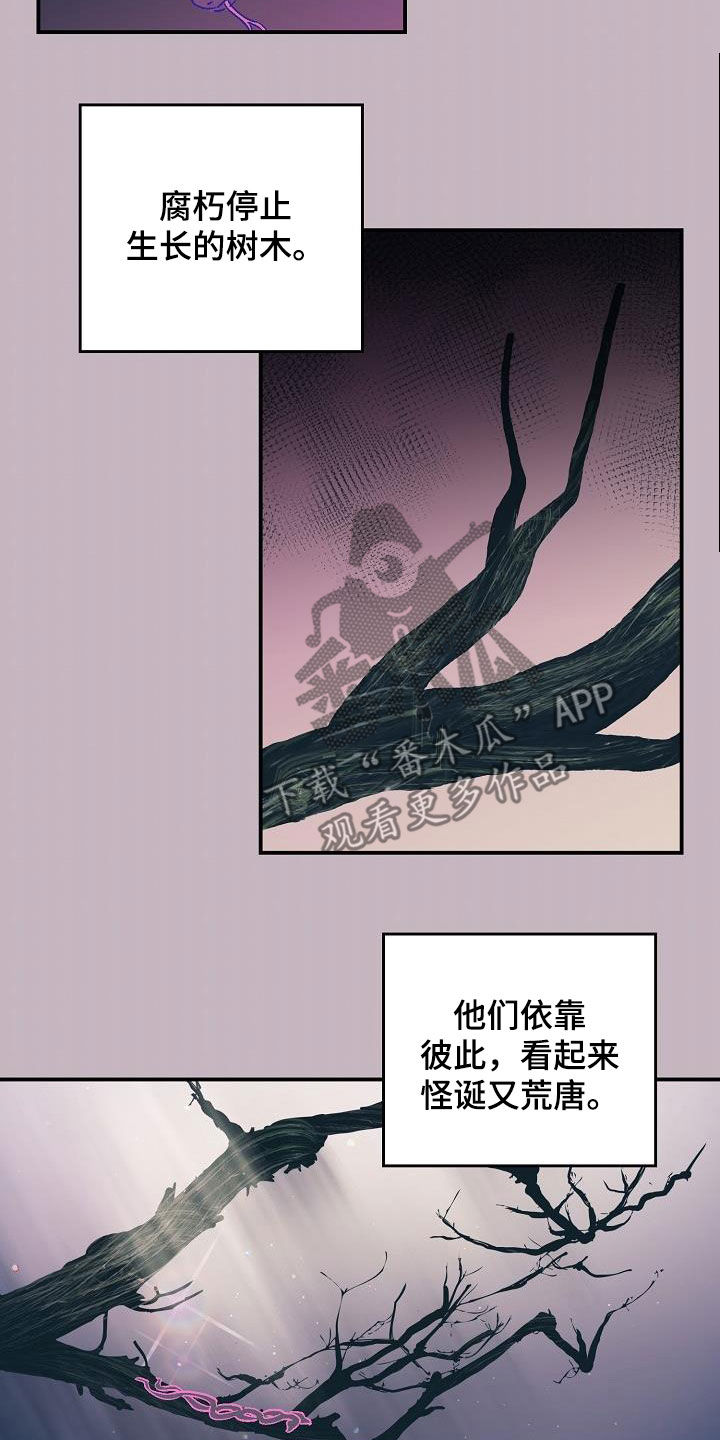 《甜腻夹心饼》第12章昏迷 第12页