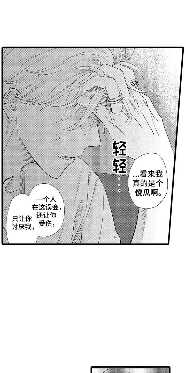 《两个小笨蛋》第21章一个傻瓜 第19页