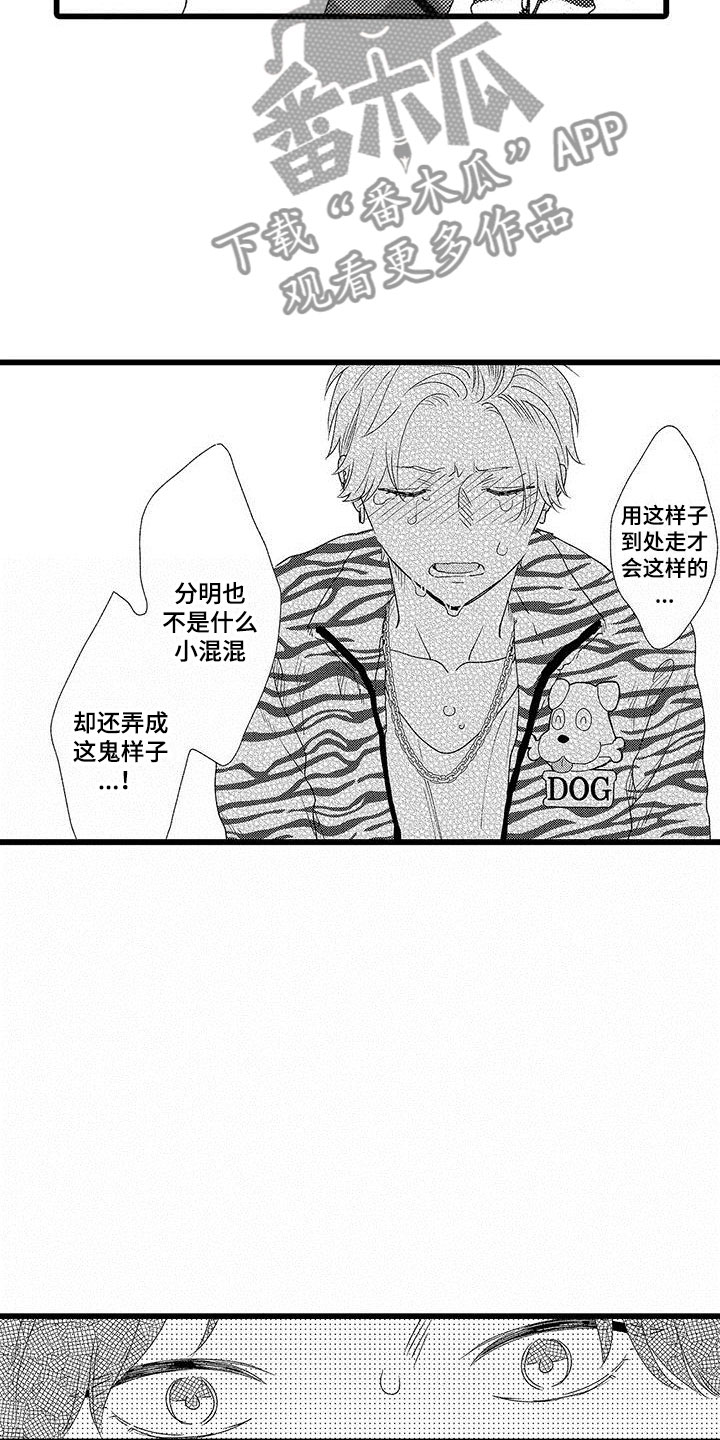 《两个小笨蛋》第21章一个傻瓜 第4页
