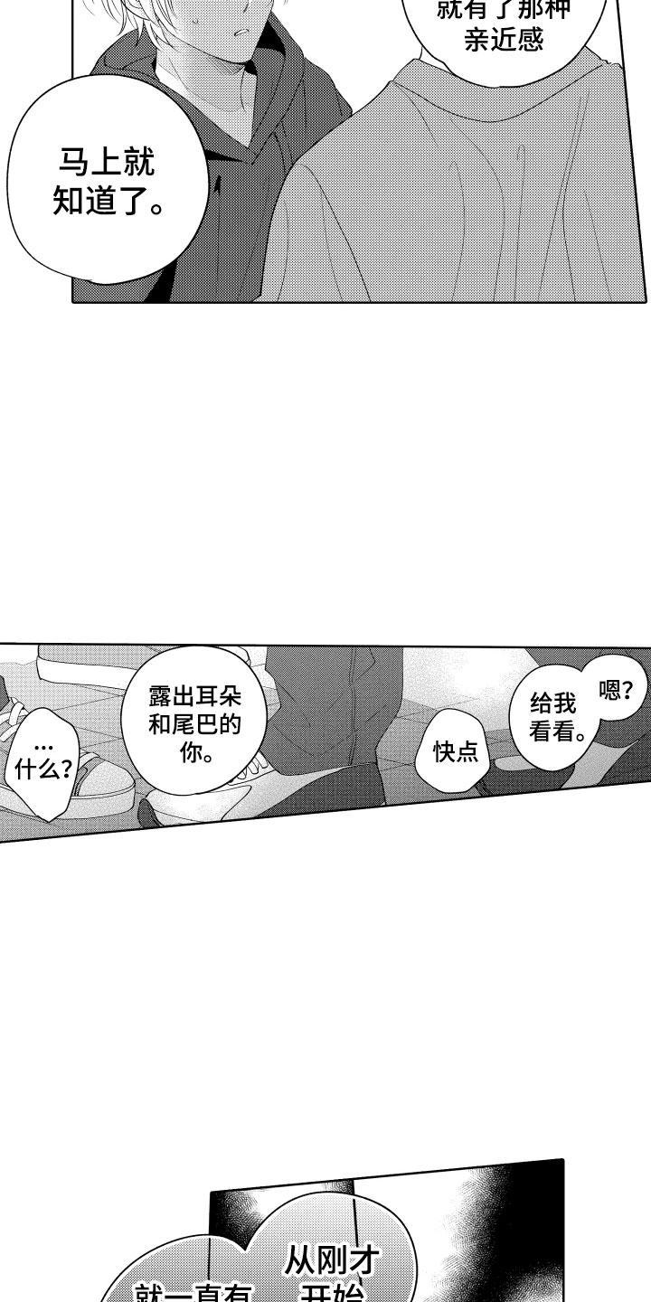 《小狐狸仆人》第24章选择我吧 第4页