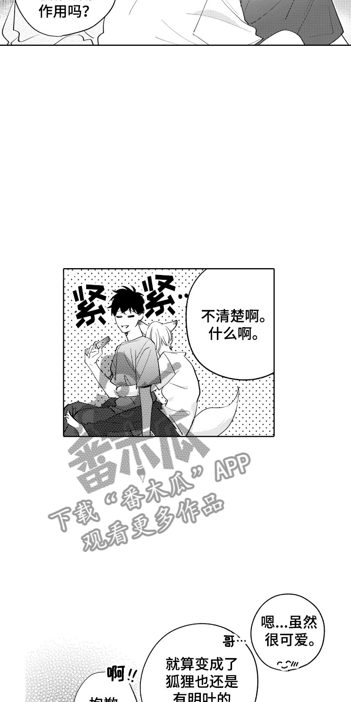 《小狐狸仆人》第16章可爱的奖励 第11页