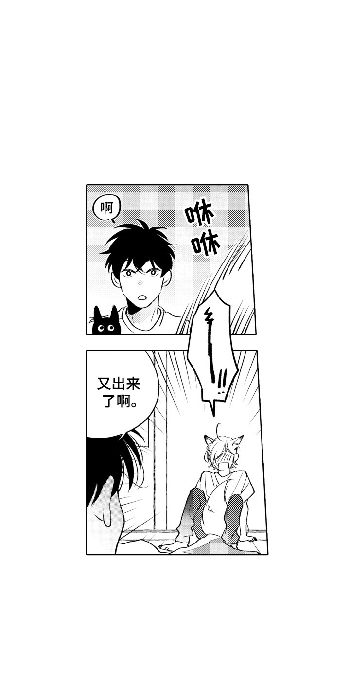 《小狐狸仆人》第12章不可抗力 第15页