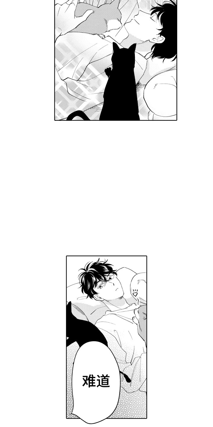 《小狐狸仆人》第7章如影随形 第3页