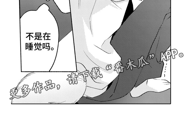 《小狐狸仆人》第10章令人担心的 第18页