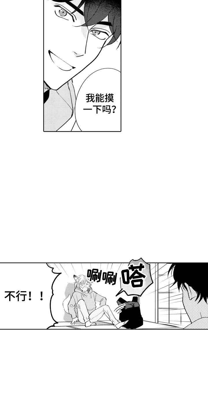 《小狐狸仆人》第4章不能摸 第18页