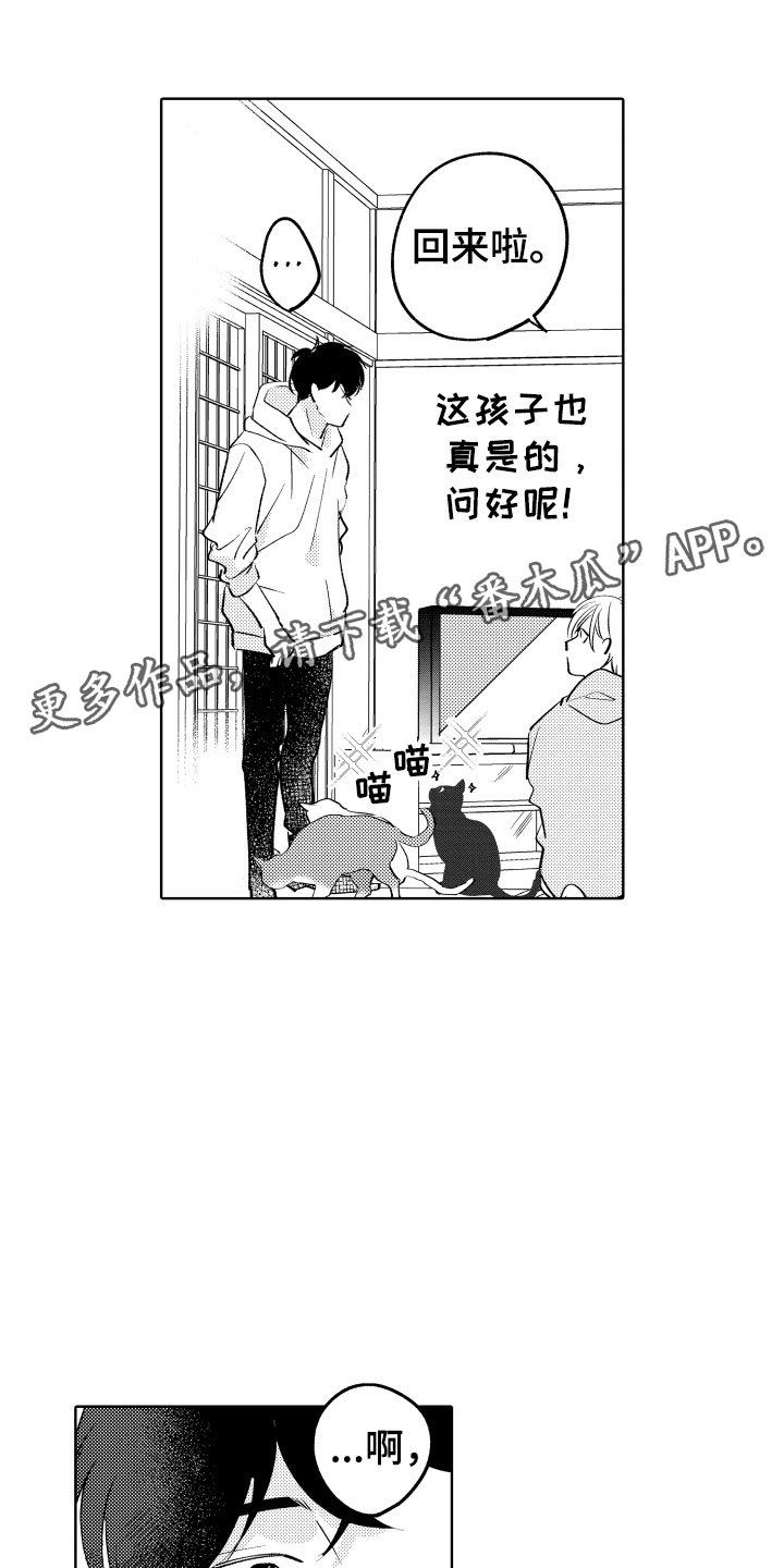 《小狐狸仆人》第4章不能摸 第1页