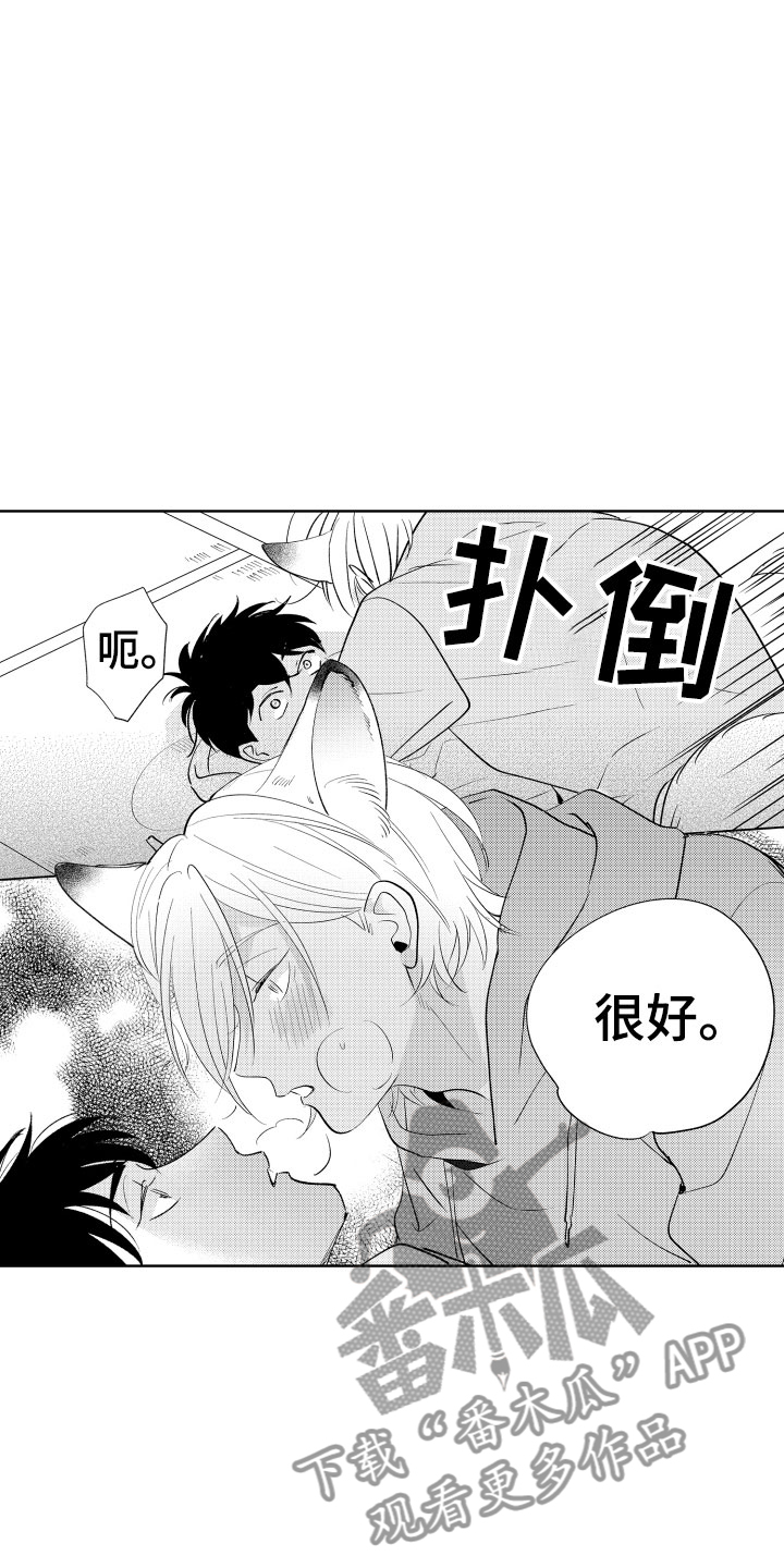 《小狐狸仆人》第5章从来没有这样 第2页