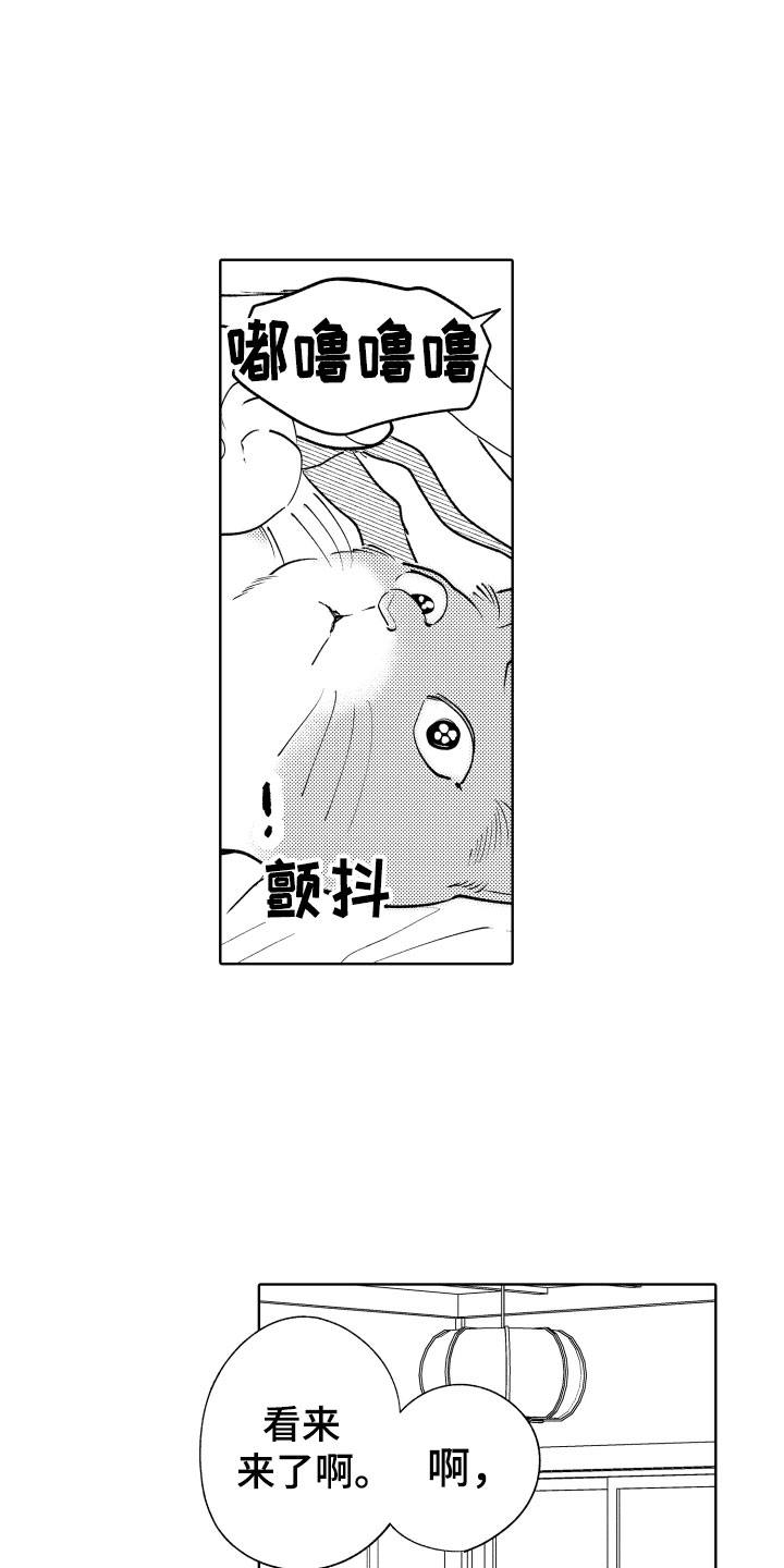 《小狐狸仆人》第3章怎么是你 第18页