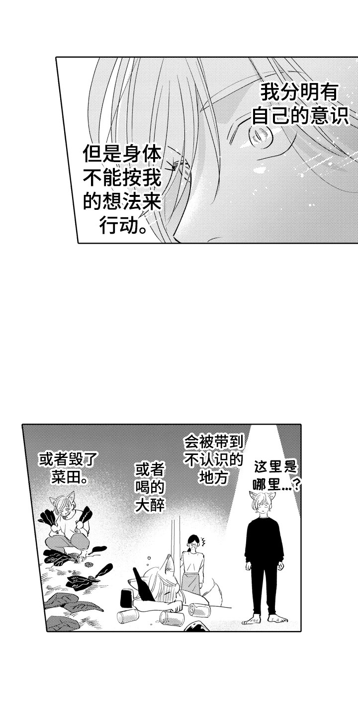《小狐狸仆人》第3章怎么是你 第1页