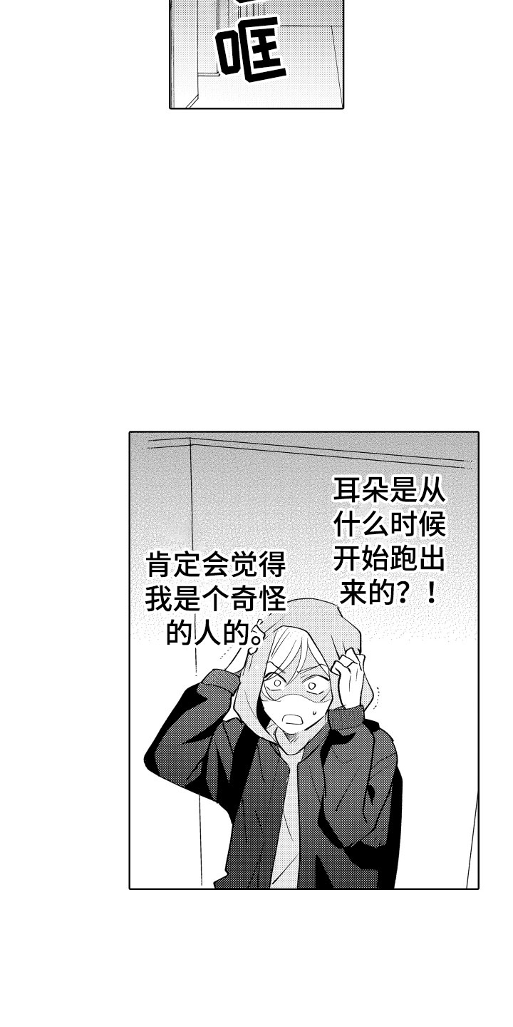 《小狐狸仆人》第2章出事了 第12页
