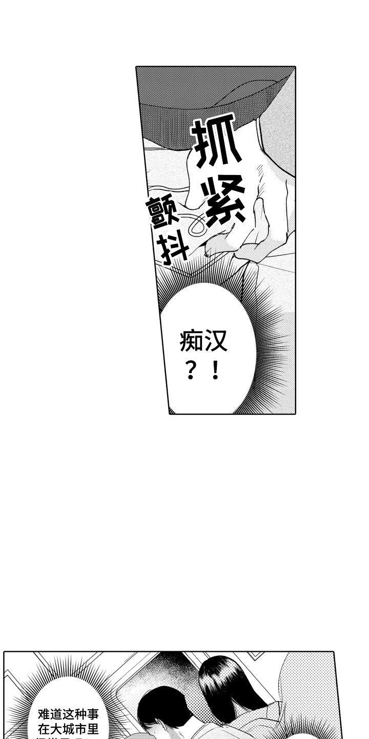 《小狐狸仆人》第1章电车色狼 第9页