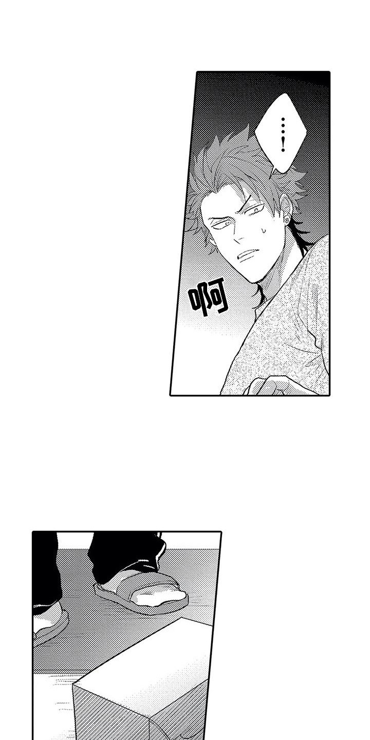 《温柔霸主》第15章心意 第13页