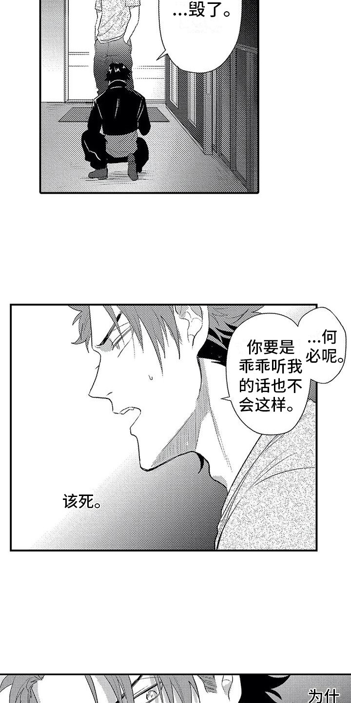《温柔霸主》第15章心意 第15页