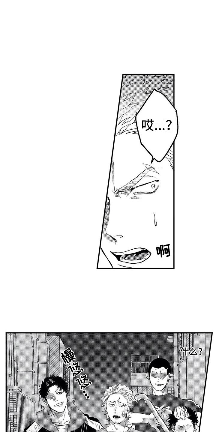 《温柔霸主》第18章小混混 第13页