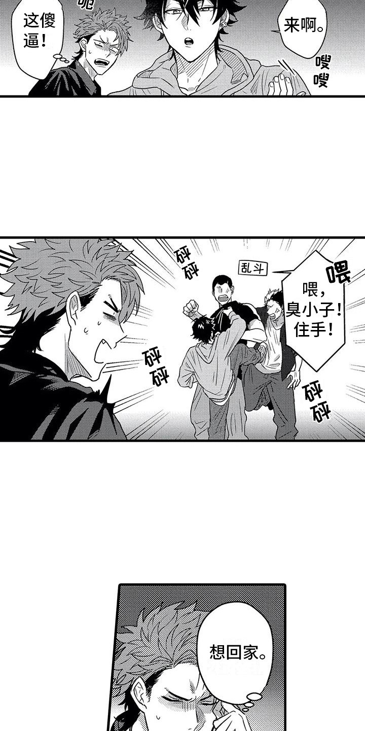 《温柔霸主》第7章打架 第4页
