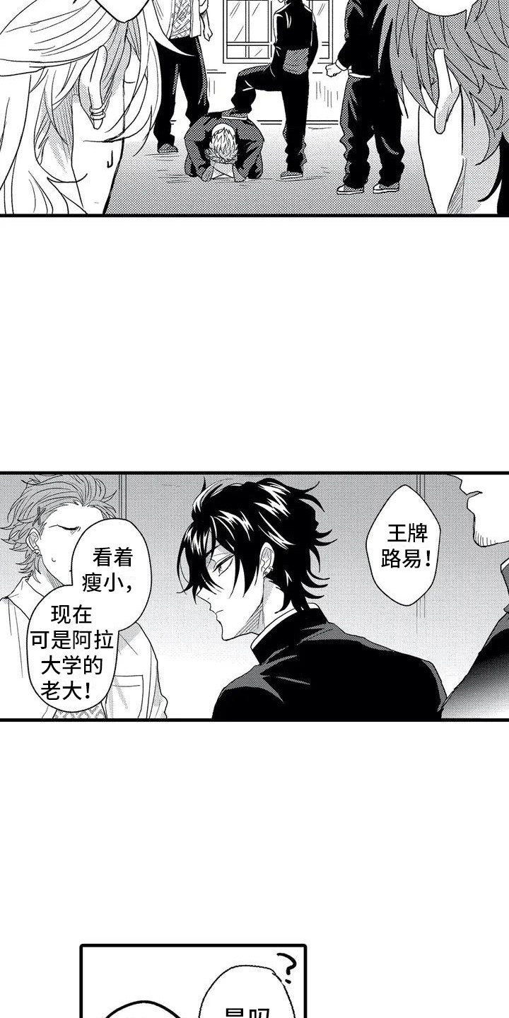 《温柔霸主》第2章校霸 第17页