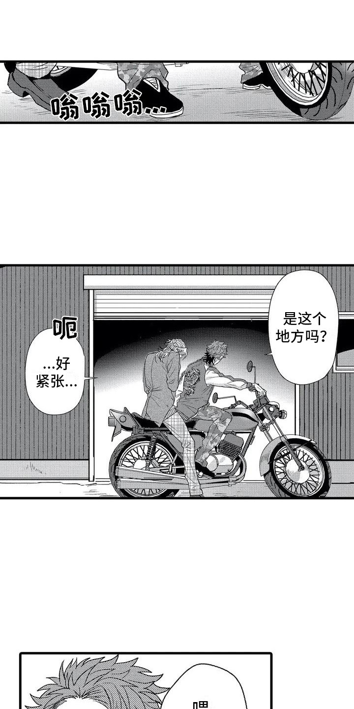 《温柔霸主》第2章校霸 第1页