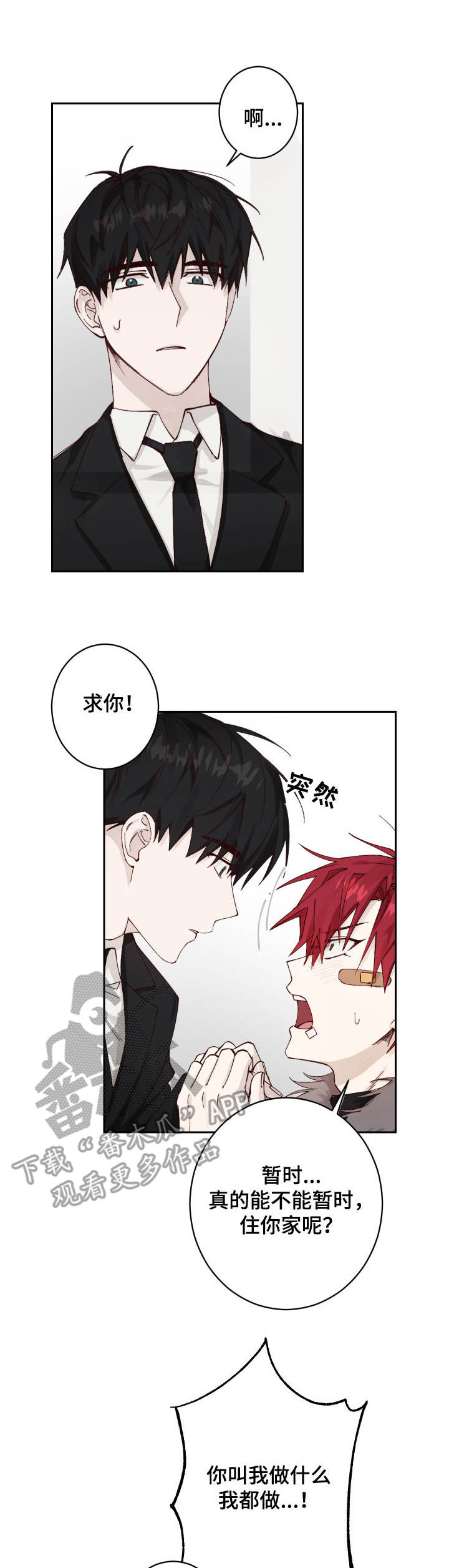 《无责之爱》第4章收留 第1页