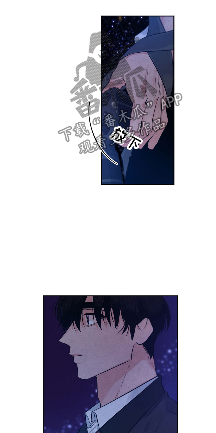 《流星落入掌中》第22章降落在我身边 第17页