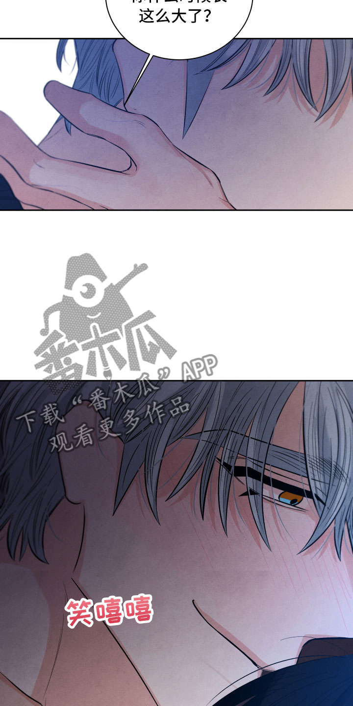 《流星落入掌中》第19章吃醋 第11页
