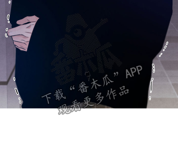 《流星落入掌中》第18章逃跑 第8页