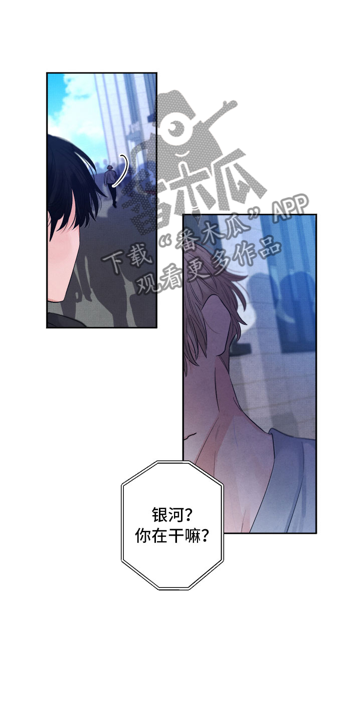 《流星落入掌中》第20章擦肩而过 第11页