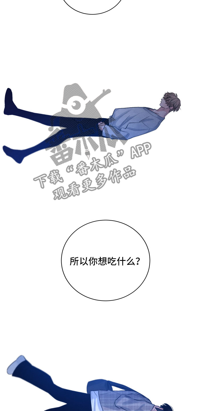 《流星落入掌中》第20章擦肩而过 第13页