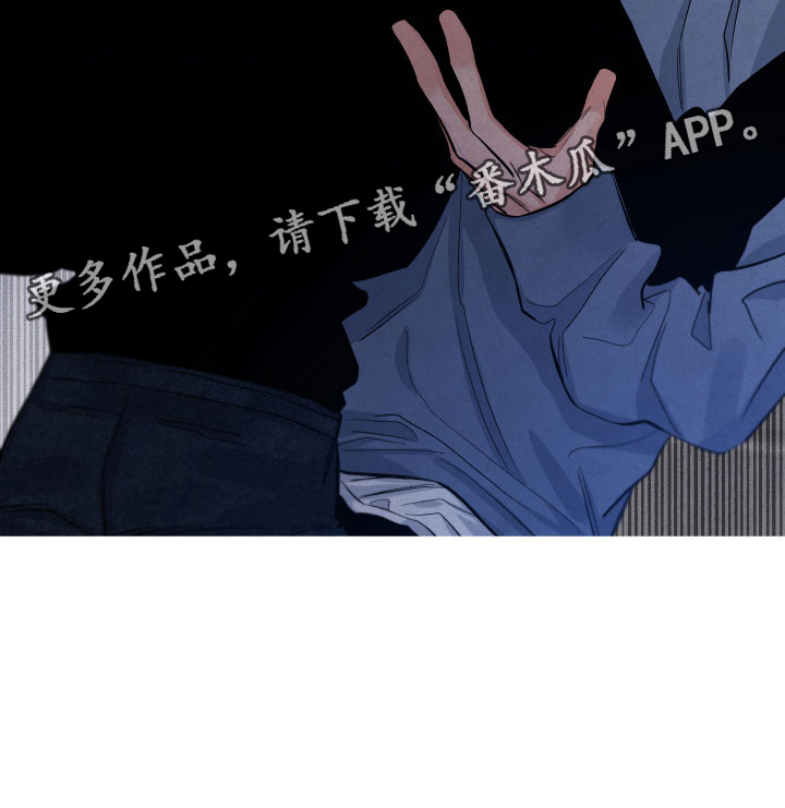 《流星落入掌中》第20章擦肩而过 第25页