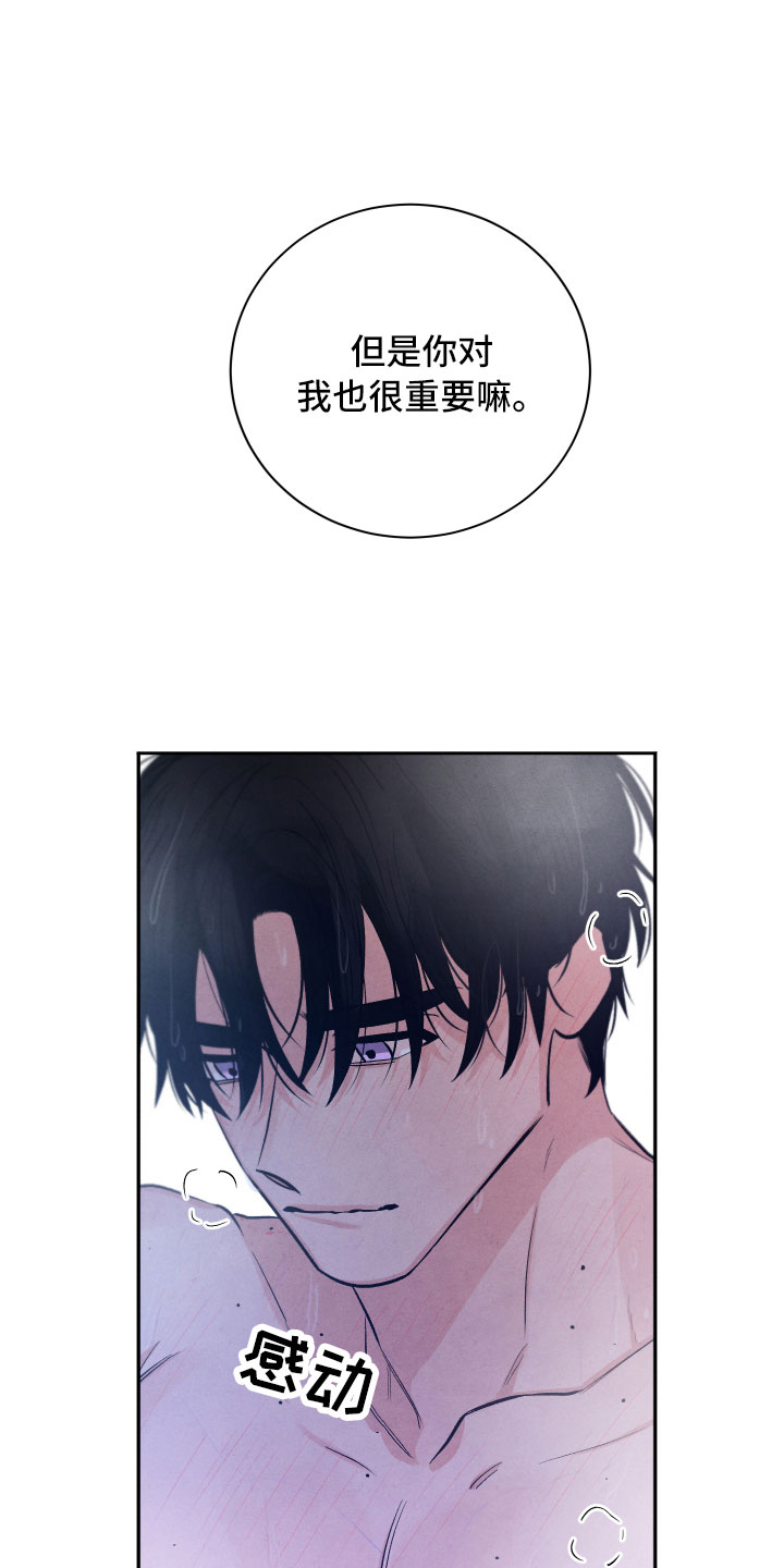 《流星落入掌中》第21章礼物 第19页