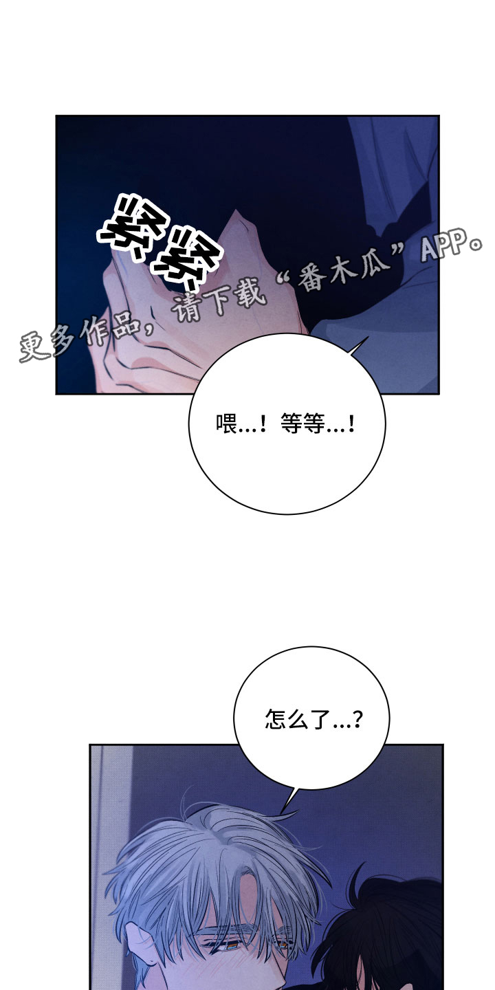 《流星落入掌中》第21章礼物 第1页