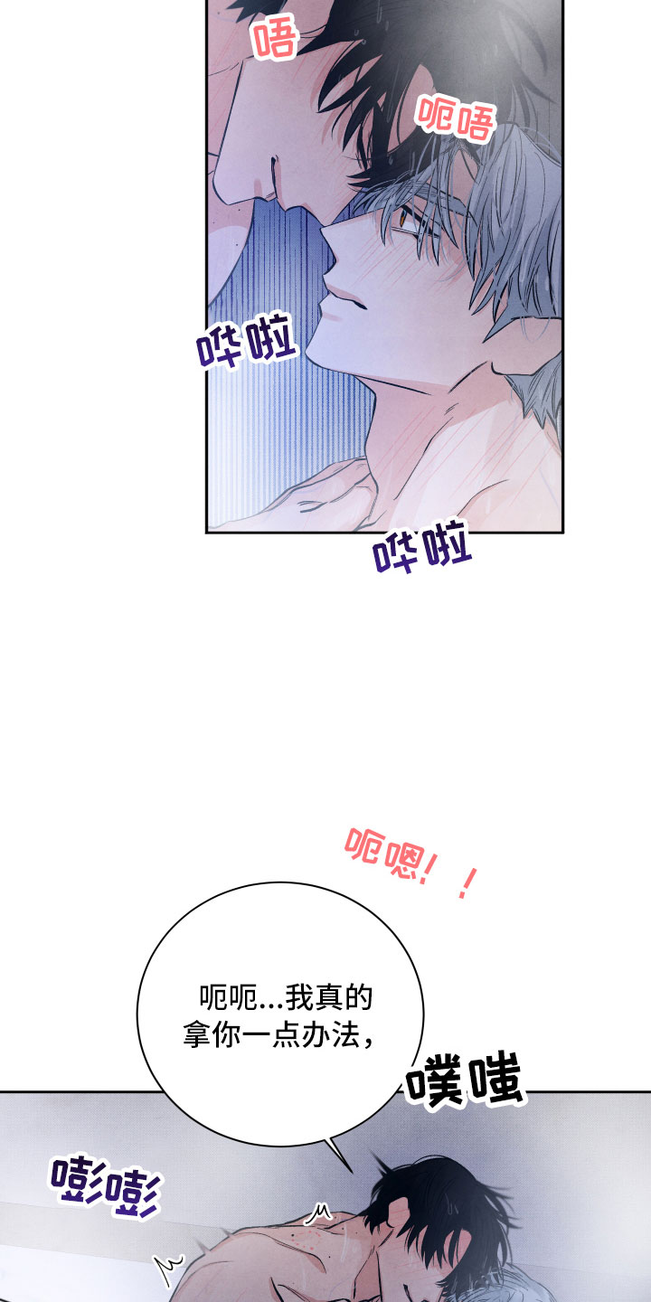 《流星落入掌中》第21章礼物 第21页