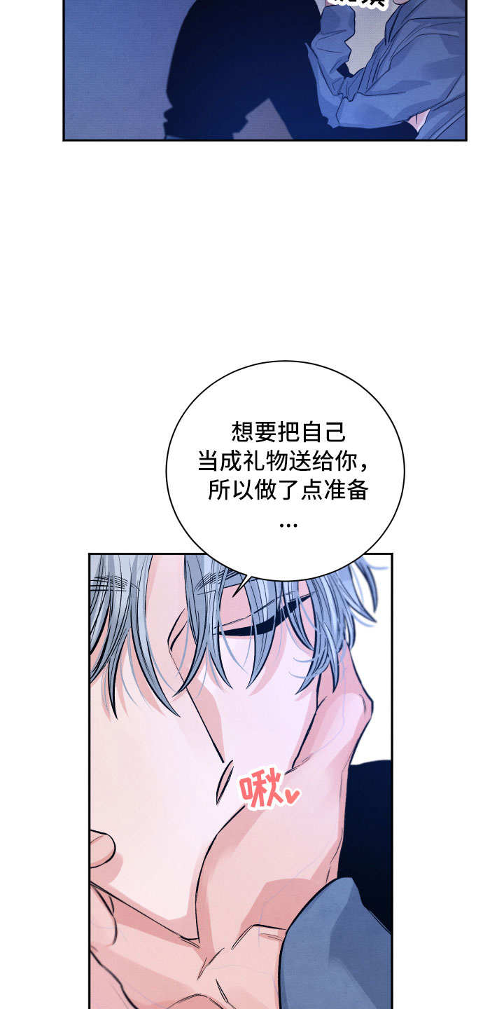 《流星落入掌中》第21章礼物 第3页