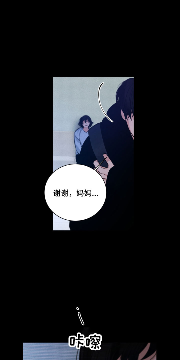《流星落入掌中》第13章过去 第13页