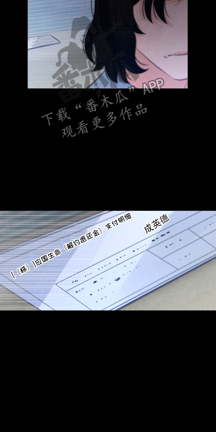 《流星落入掌中》第13章过去 第14页