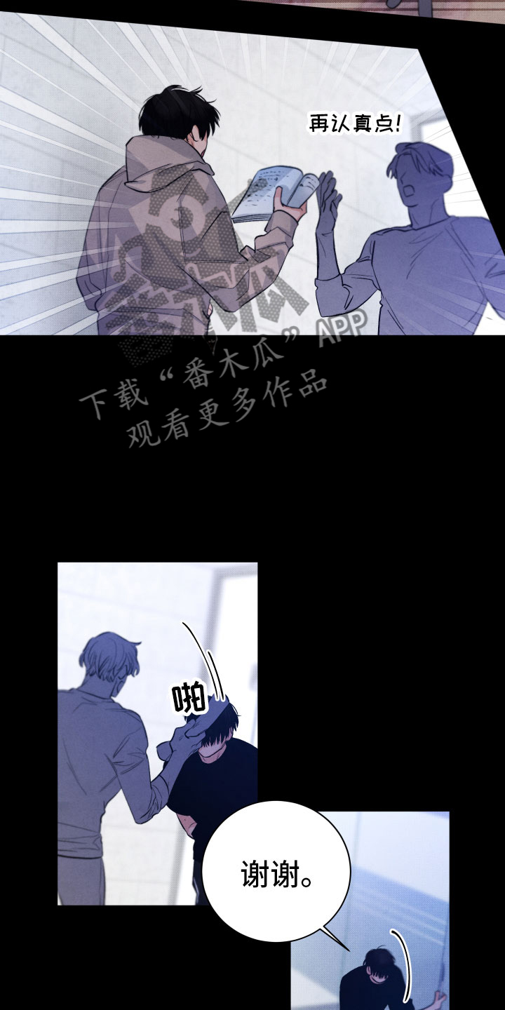 《流星落入掌中》第13章过去 第2页