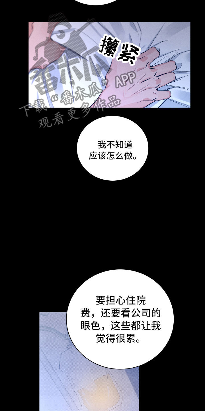 《流星落入掌中》第15章离开 第11页