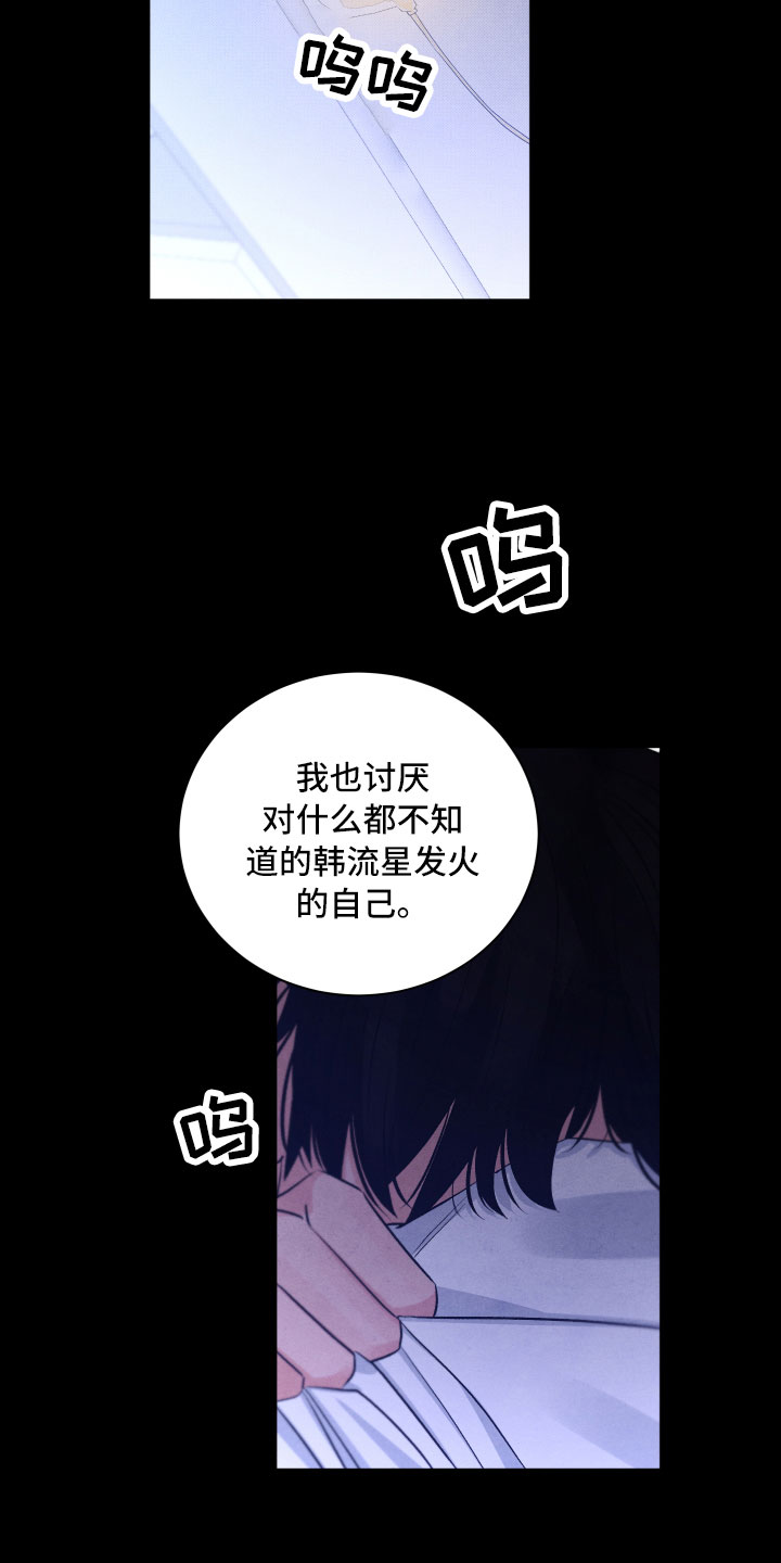 《流星落入掌中》第15章离开 第12页