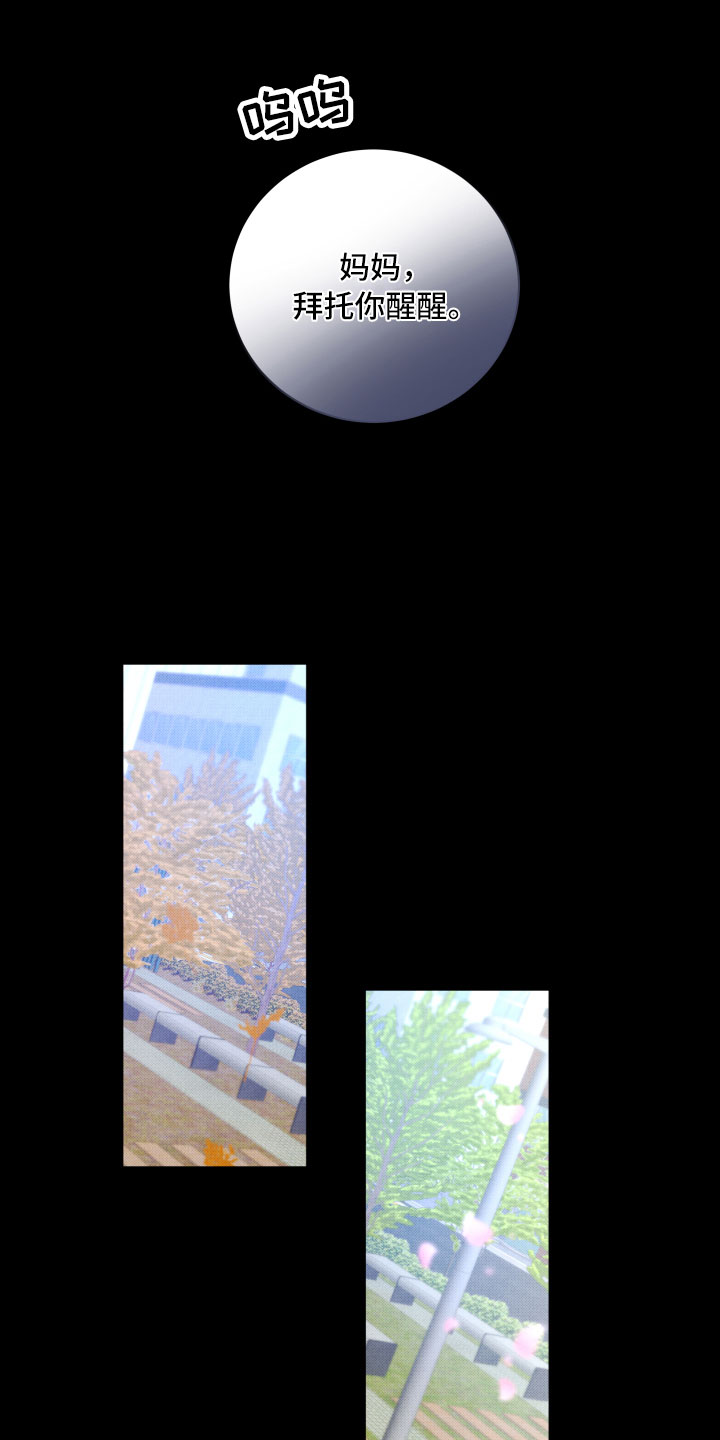 《流星落入掌中》第15章离开 第13页