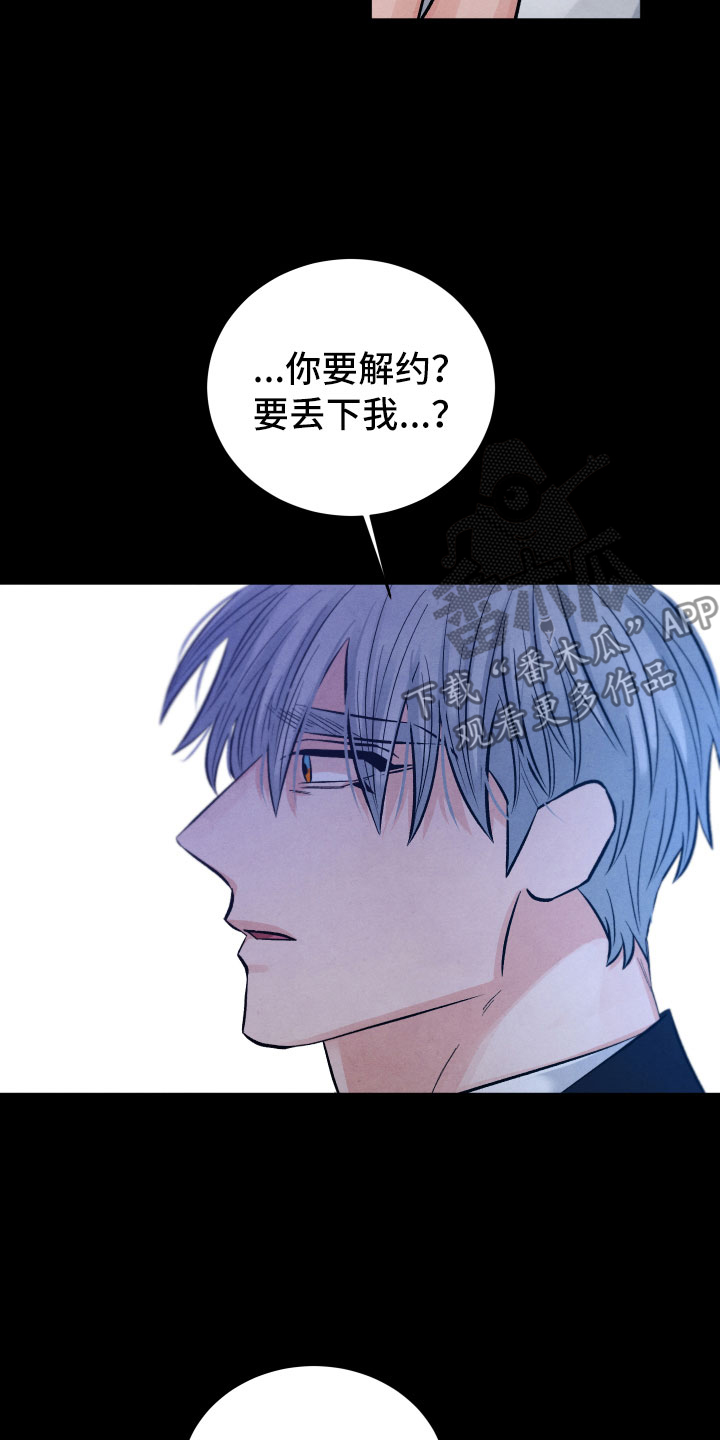 《流星落入掌中》第15章离开 第20页