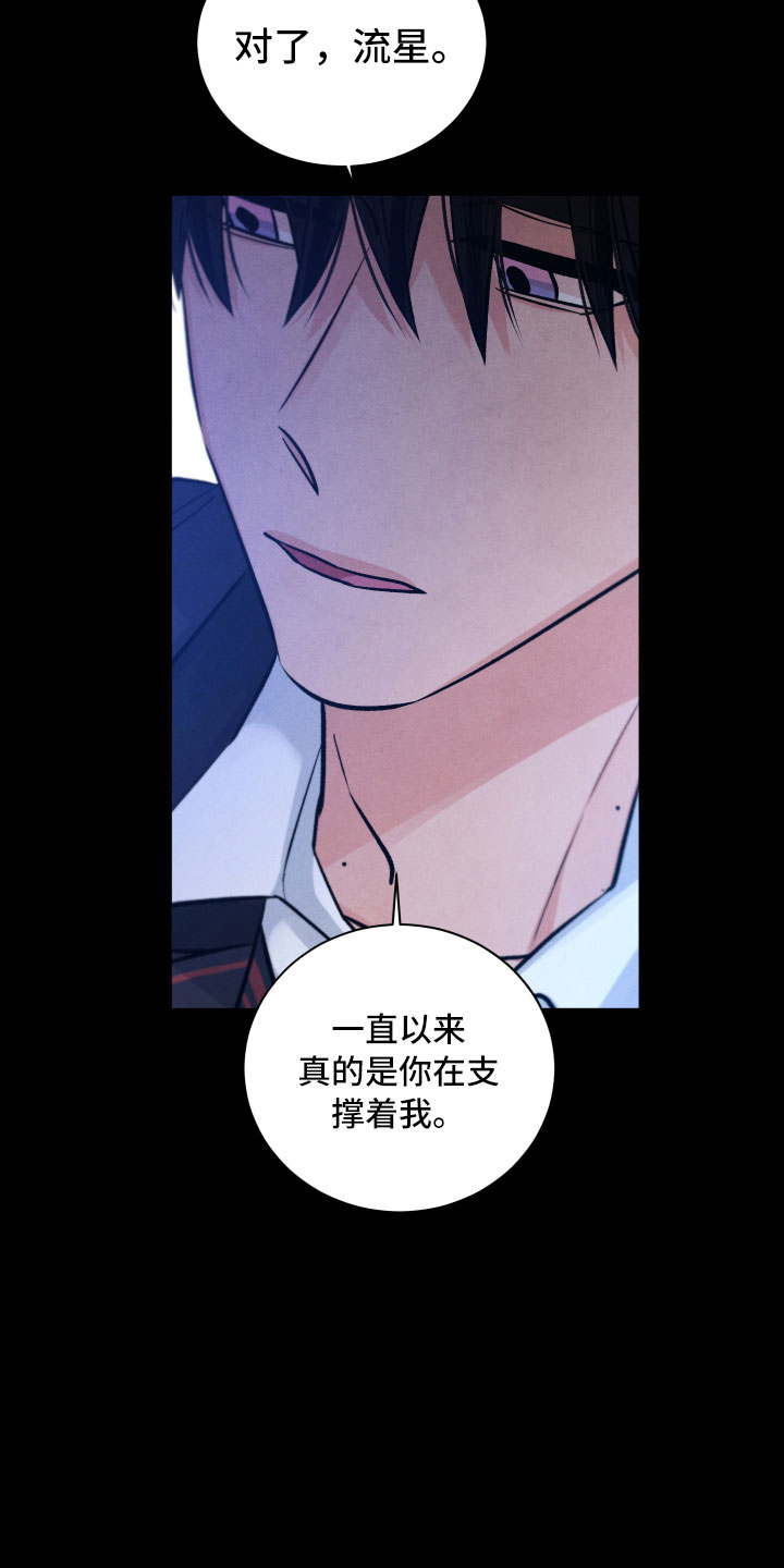 《流星落入掌中》第15章离开 第21页