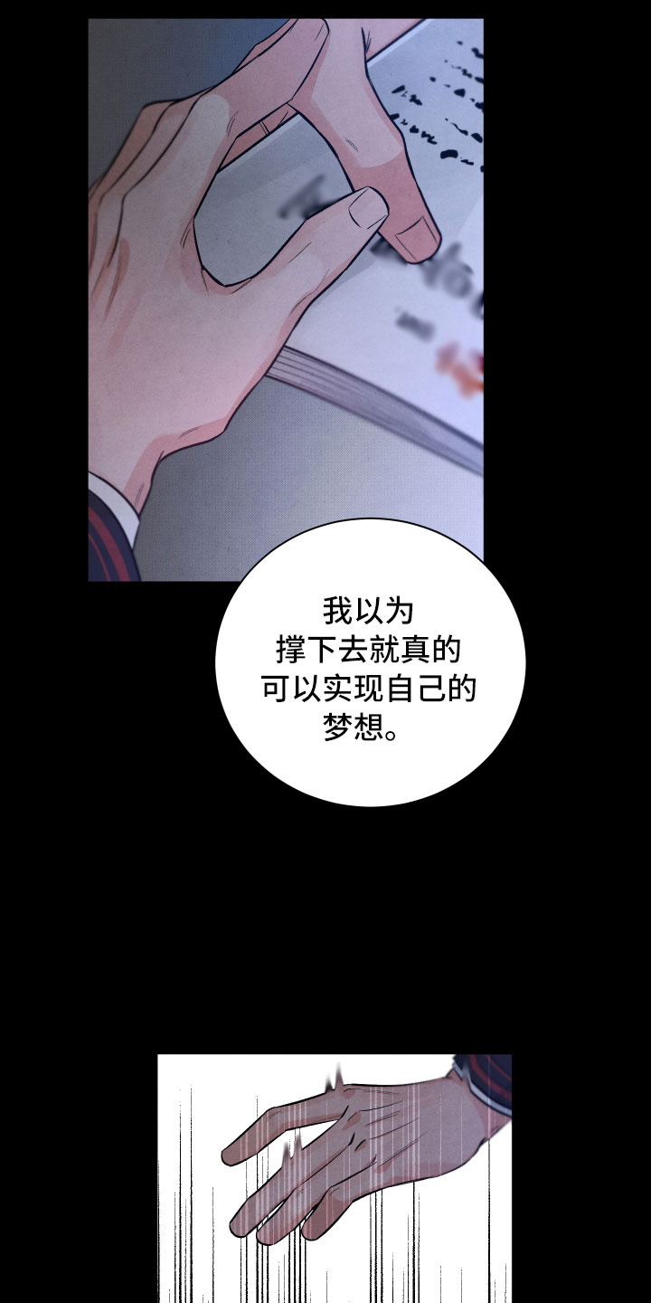 《流星落入掌中》第15章离开 第22页