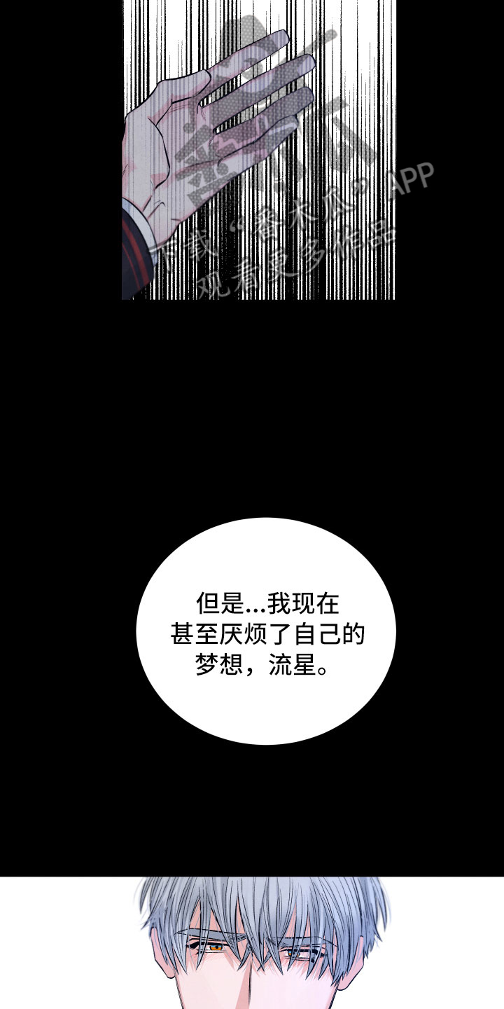 《流星落入掌中》第15章离开 第23页