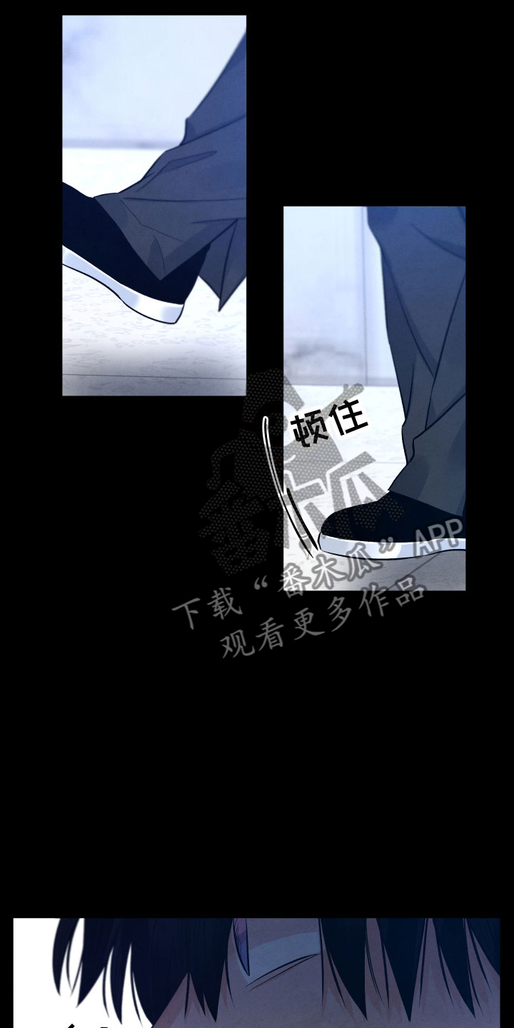 《流星落入掌中》第15章离开 第2页