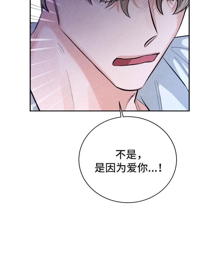 《流星落入掌中》第17章你选谁？ 第24页